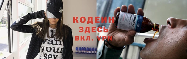 стаф Козельск