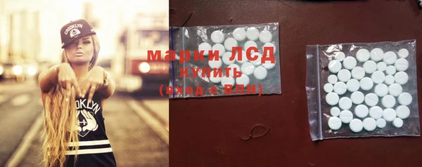 стаф Козельск