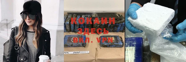 стаф Козельск