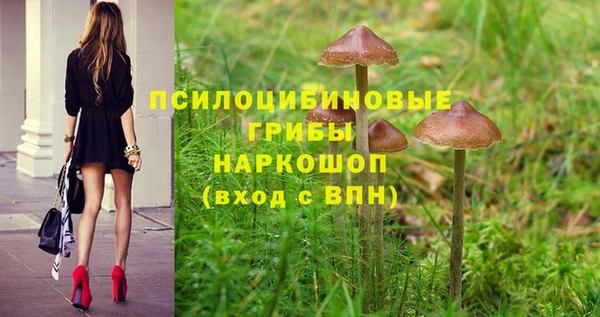 таблы Кодинск