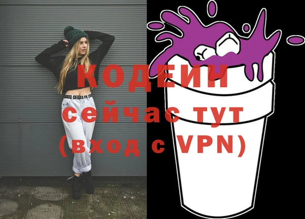 стаф Козельск