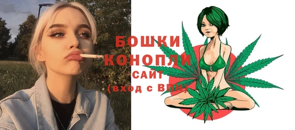 стаф Козельск