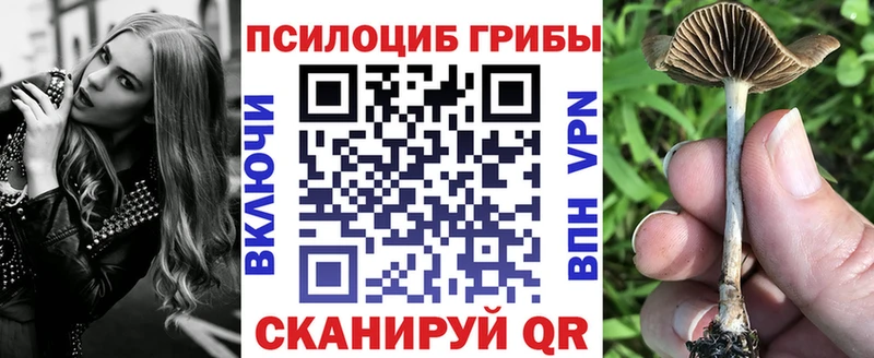 Галлюциногенные грибы ЛСД  Купить  Багратионовск 